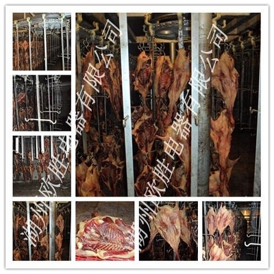肉制品冷风乾燥机 - LFGZ-20 - 欧胜 (中国 浙江省 生产商) - 乾燥设备 - 通用机械 产品 「自助贸易」
