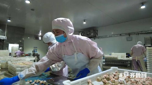 潍坊市坊子区 定制版税收政策 大礼包 助力企业轻装上阵 赋能预制菜产业高质量发展